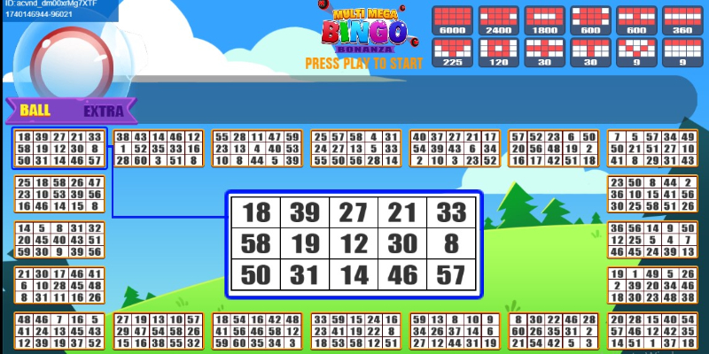 Multi Mega Bingo Bonanza