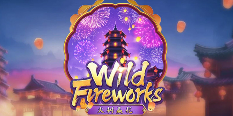 Pháo hoa wild