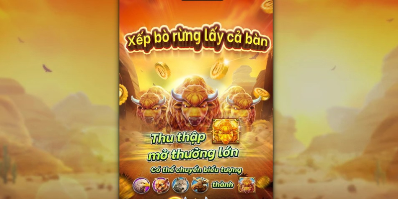 Trâu Hoang Điên Cuồng" (Crazy Buffalo)